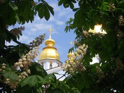 kiyiv-misto-moe-meni-v-nomu-zhiti-meni-jogo-stvoryuvati