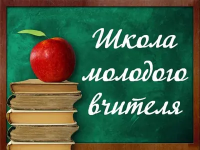 shkola-molodogo-vchitelya