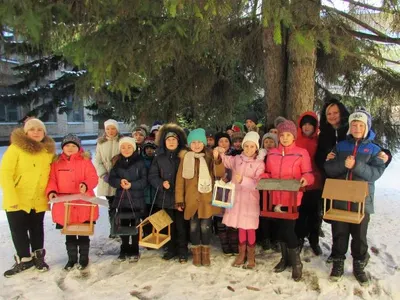 ekologichna-operacziya-budinochok-dlya-ptaxiv