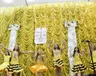 festival-pravoznavchix-kazok