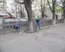 den-dovkillya-25.04.2015