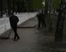 den-dovkillya-25.04.2015
