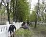 den-dovkillya-25.04.2015